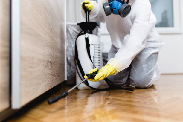 Best Exterminator Services  in Wrightsville, GA