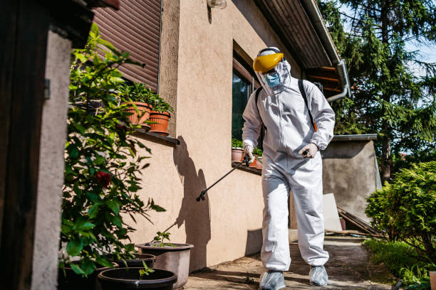 Best Emergency Pest Control  in Wrightsville, GA