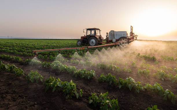 Professional Pest Control in Wrightsville, GA