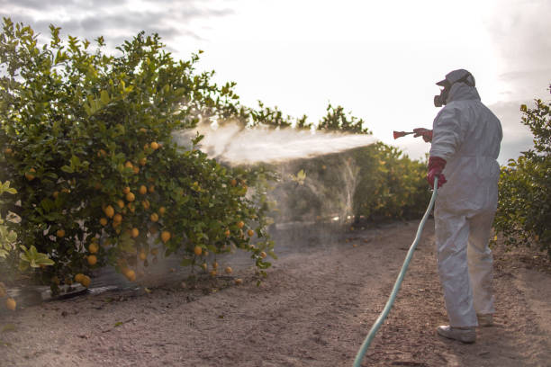 Best Mosquito Control Services  in Wrightsville, GA