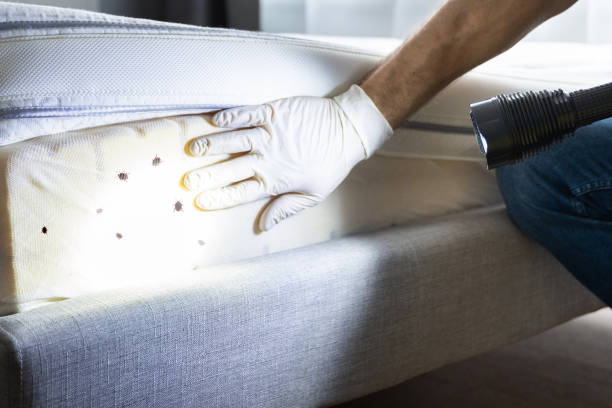 Best Pest Prevention Services  in Wrightsville, GA