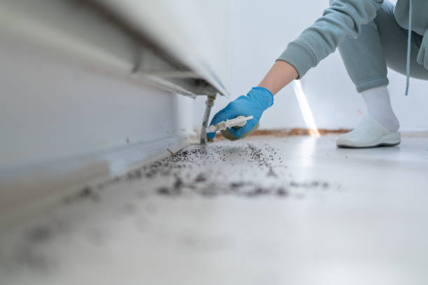 Best Affordable Exterminators  in Wrightsville, GA